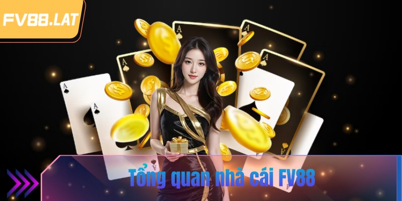 Tổng quan nhà cái FV88